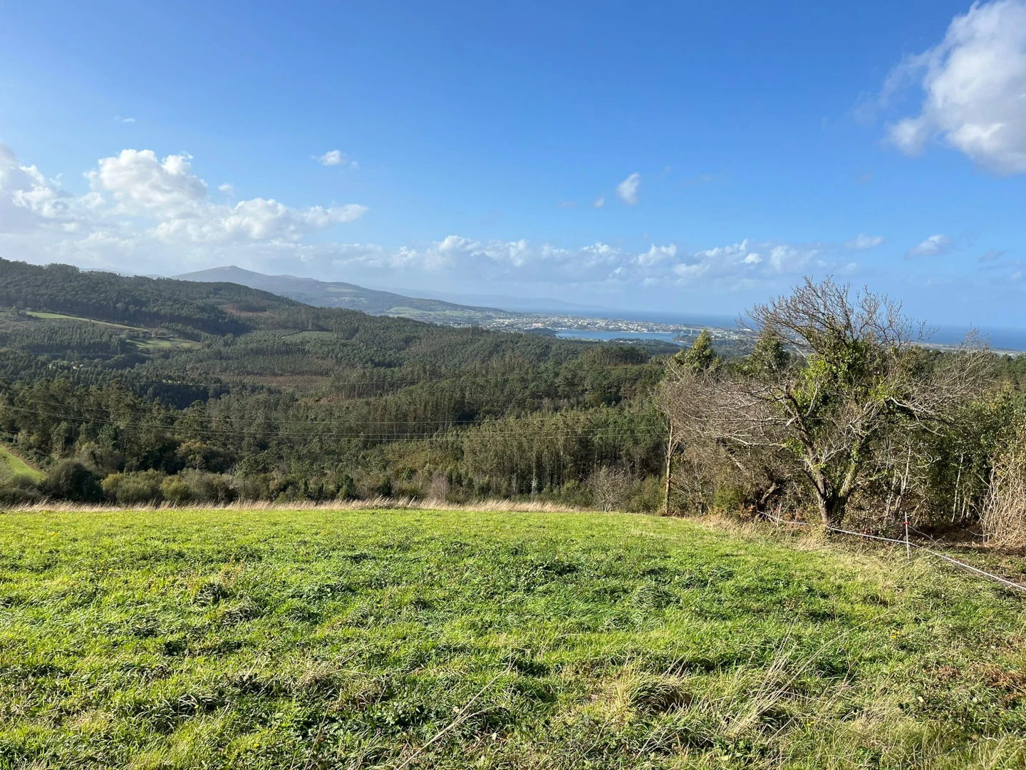 Vista Principal castropol