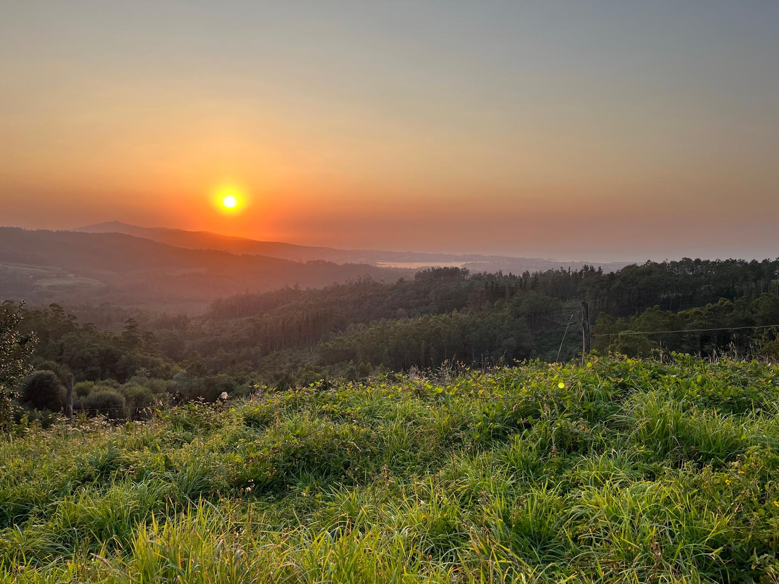 puesta de sol 2