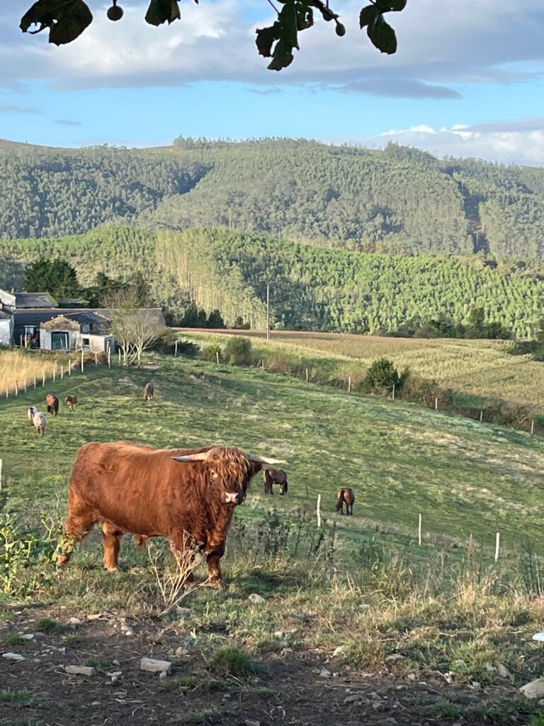 WhatsApp Image 2026 01 31 At 08.03.34 768x1024