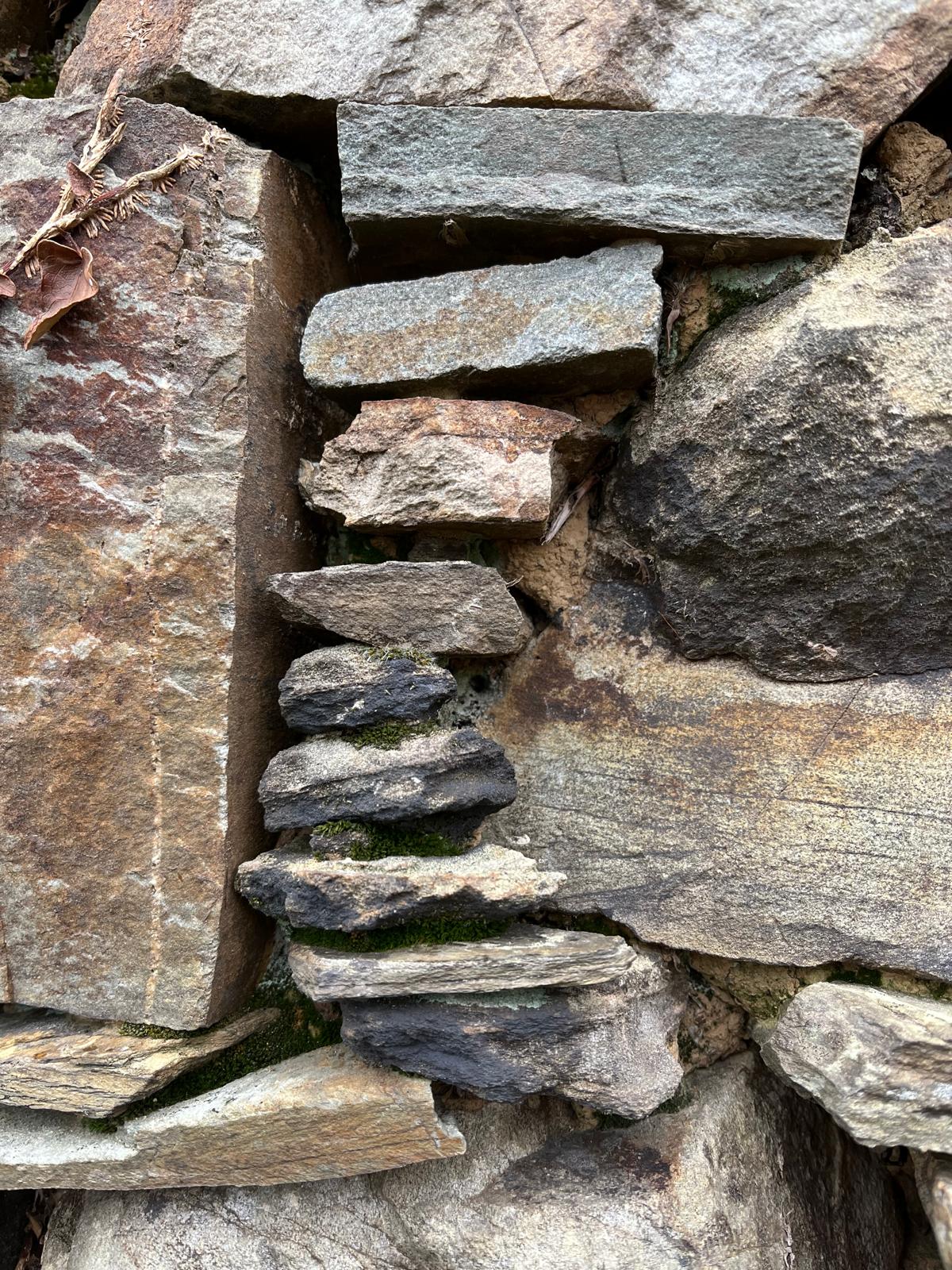 Coaching Regenerativo WhatsApp Image 2026 01 31 At 08.08.57